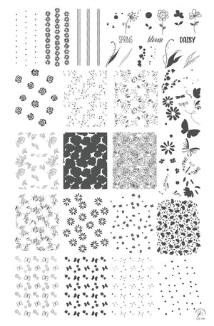 Clear Jelly Stamper- CjS-194- Spring Daisy