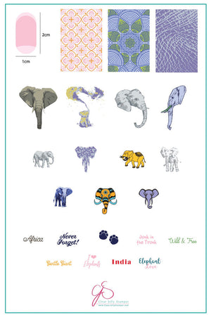 Clear Jelly Stamper- LC-44- Everything Elephant