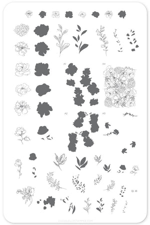 Clear Jelly Stamper- CjS-082- Sketched Garden