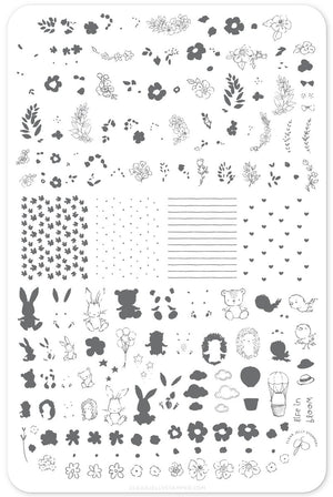 Clear Jelly Stamper- CjS-097- Life in Bloom