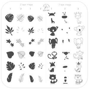 Clear Jelly Stamper- CJS B-TWO- Beginner 2