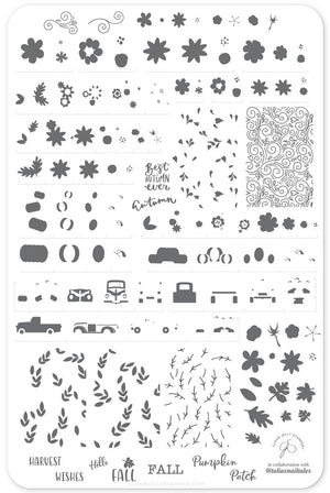 Clear Jelly Stamper- LC-57- Talia's Pumpkin Patch