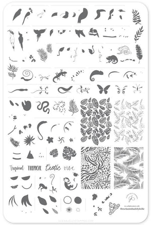 Clear Jelly Stamper- LC-58- Enchanted Tropics