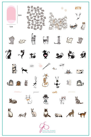 Clear Jelly Stamper- LC-75- Purrr-fect!