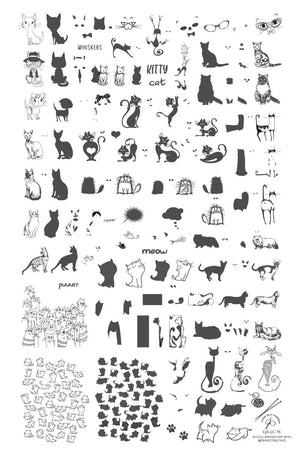 Clear Jelly Stamper- LC-75- Purrr-fect!