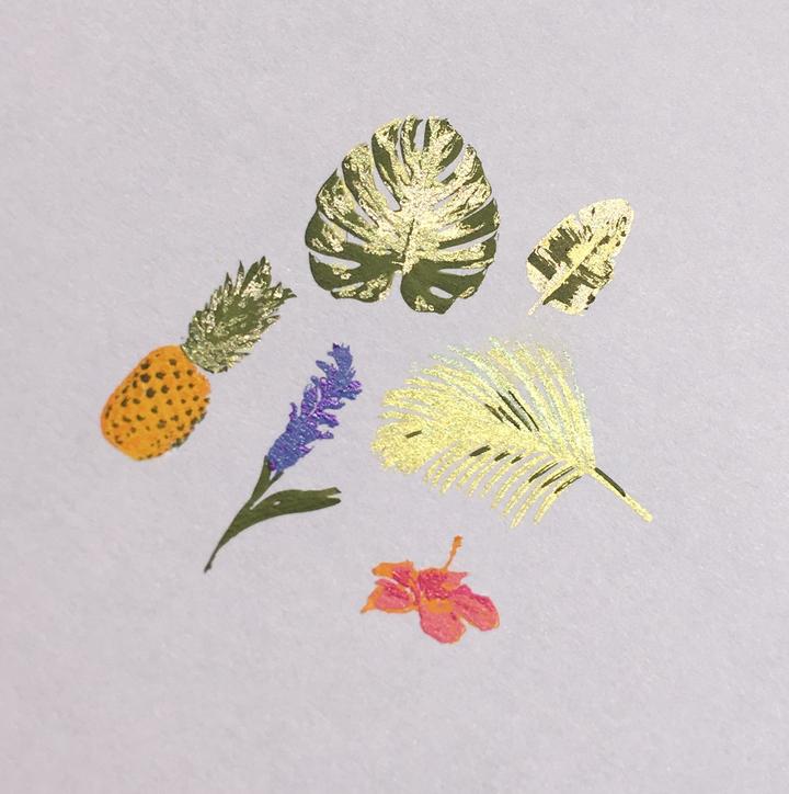 Clear Jelly Stamper- CjS-038- Tropical