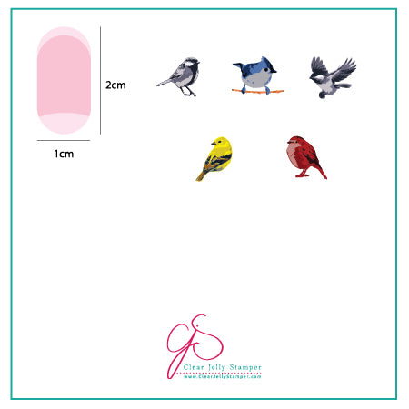 Clear Jelly Stamper- CjS-030- Itty Bitty Birds