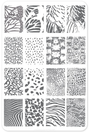 Clear Jelly Stamper- CjS-077- Texture Essentials- Wild Kingdom