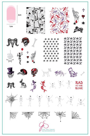 Clear Jelly Stamper- H-39- Bad to the Bone