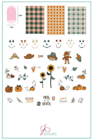 Clear Jelly Stamper- LC-56- Pick of the Patch