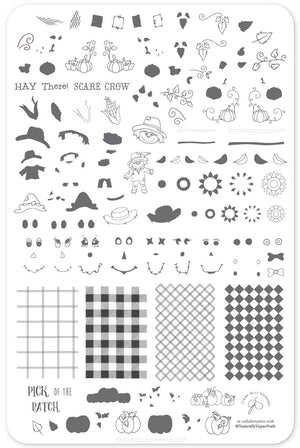 Clear Jelly Stamper- LC-56- Pick of the Patch