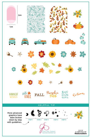 Clear Jelly Stamper- LC-57- Talia's Pumpkin Patch