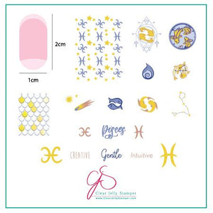 Clear Jelly Stamper- Z-13- Pisces