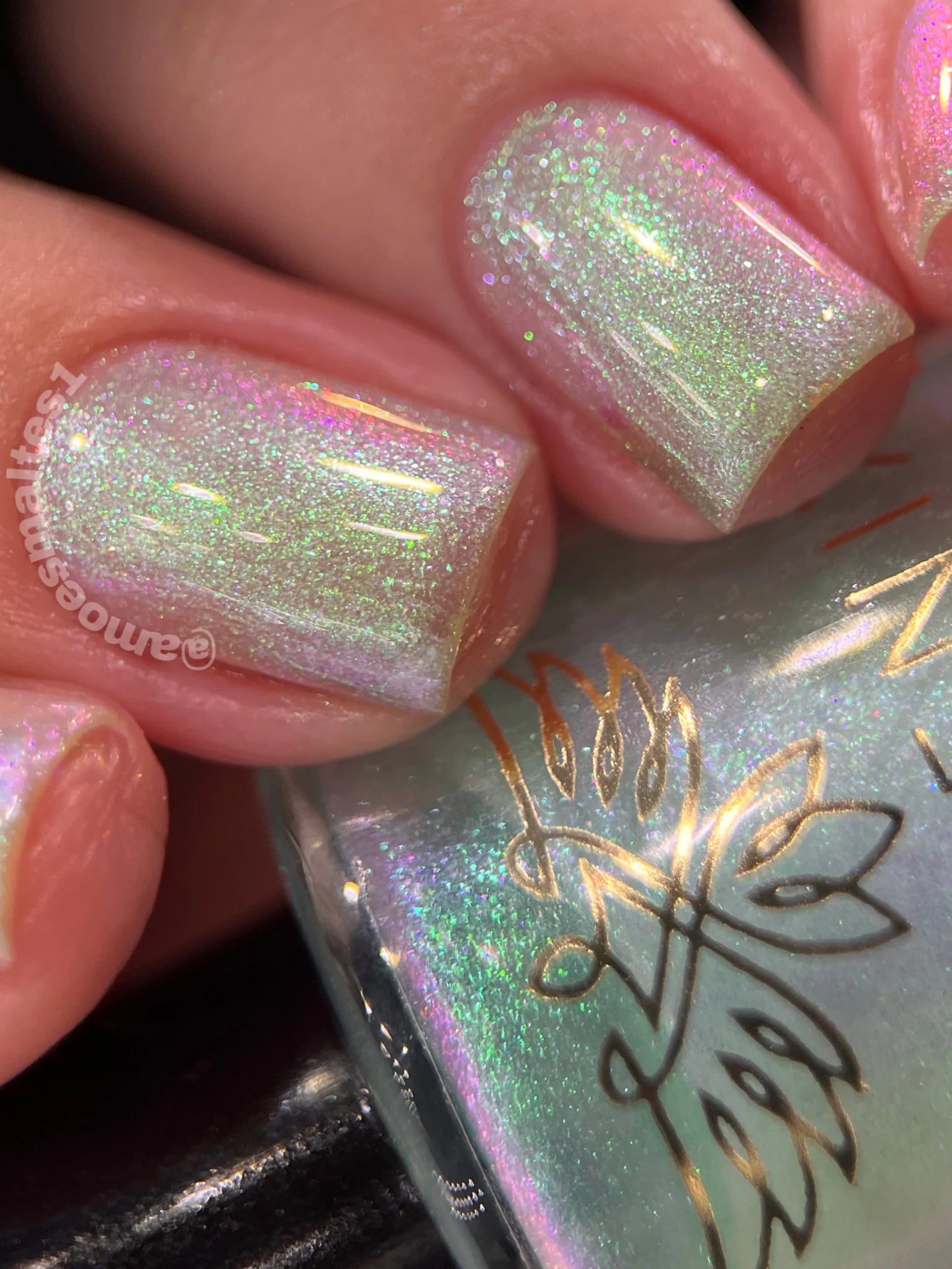 Phoenix- Elves- Aredhel