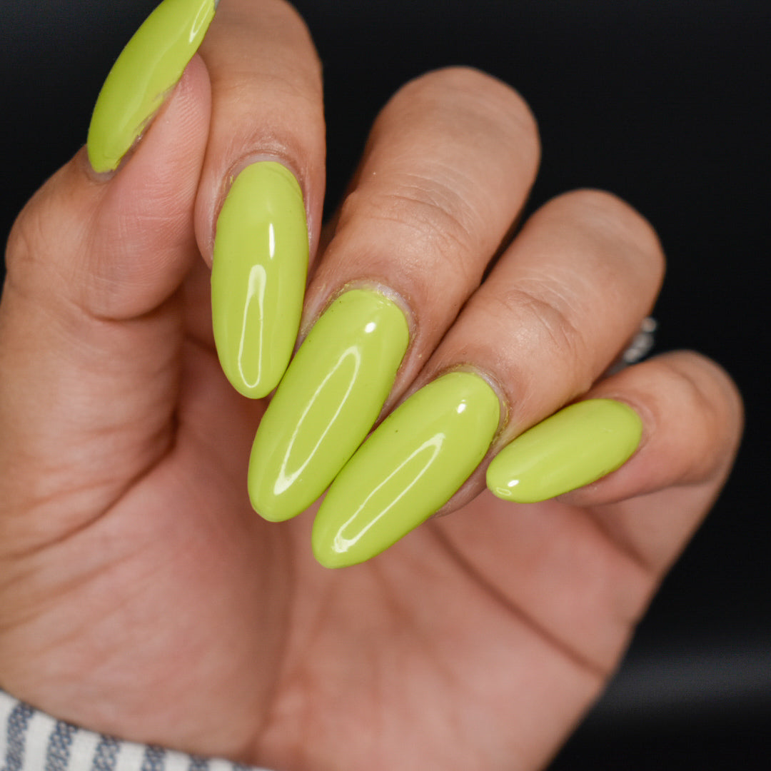 Hit the Bottle- Roads less Travelled- Sherbrooke Forest