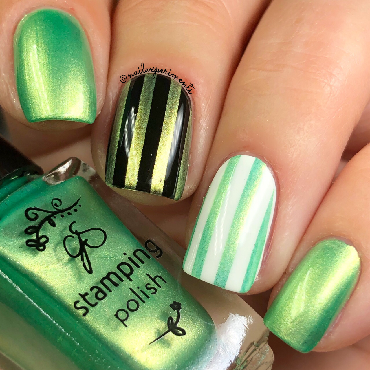Clear Jelly Stamper- Stamping Polish- The Candy Shop Kit (7 colors)
