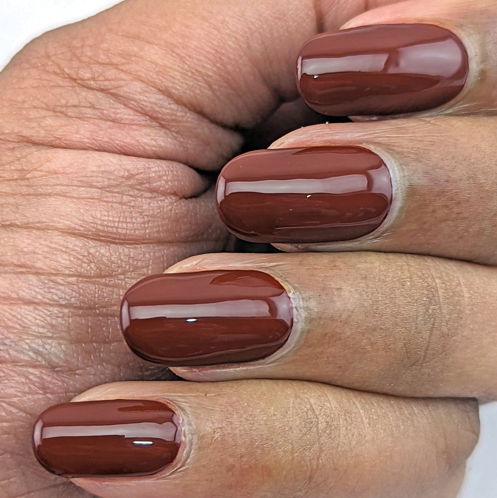 Hit the Bottle- Roads less Travelled- Cape Leveque