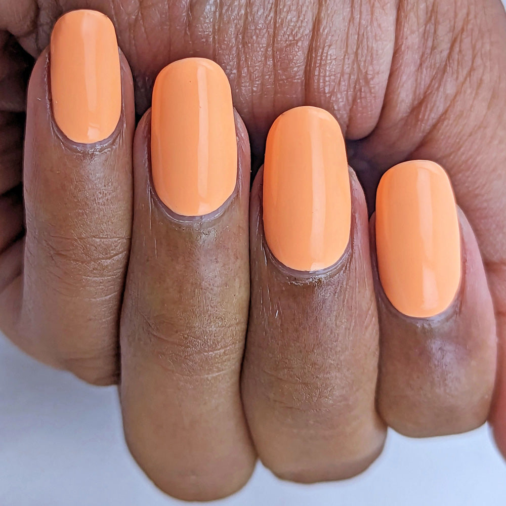 Hit the Bottle- Follow Your Dreams- Dreamsicle