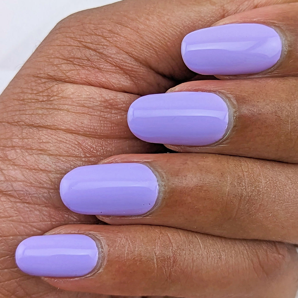 Hit the Bottle- Follow Your Dreams- Lilac Lullaby