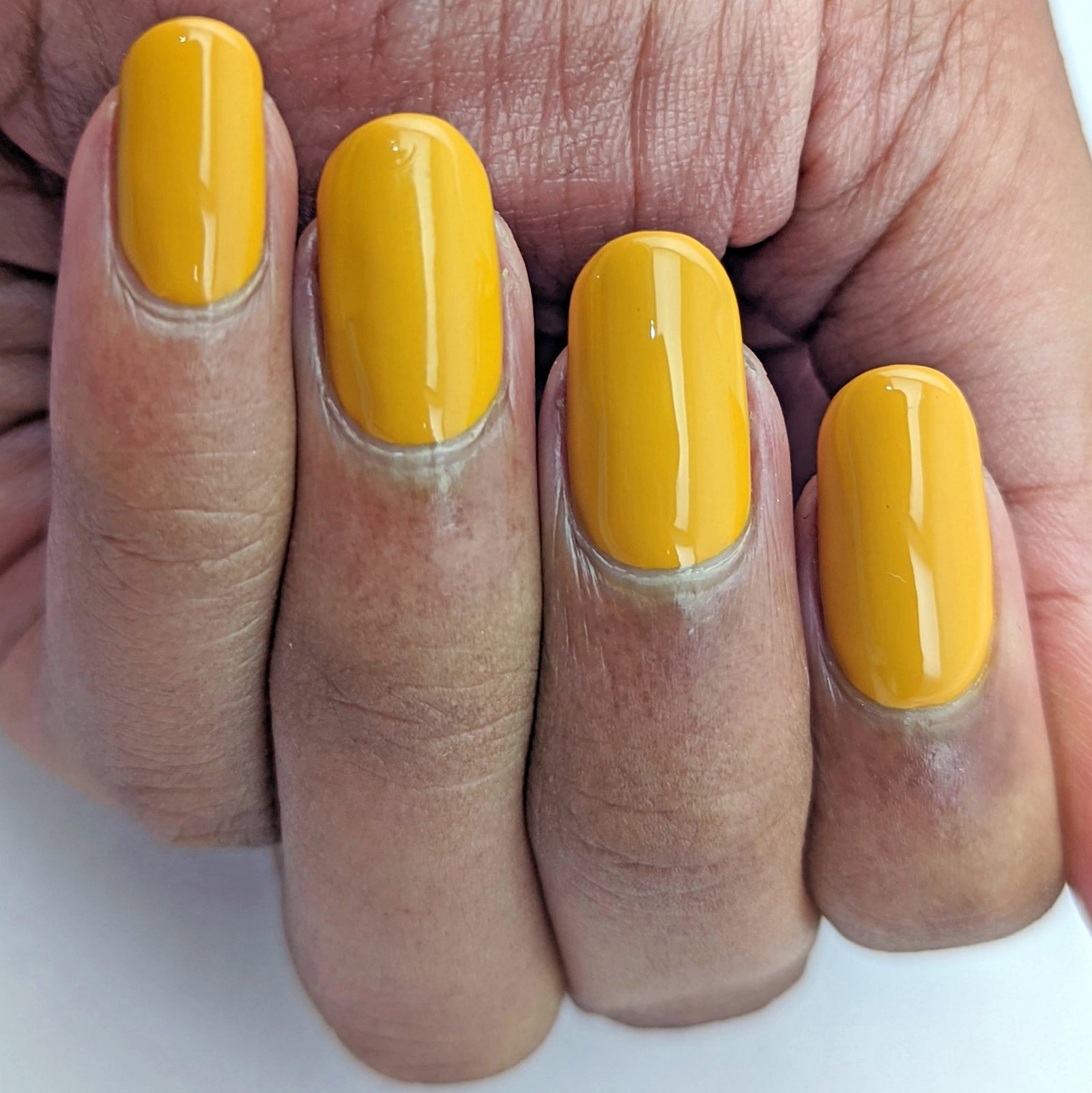 Hit the Bottle- Roads less Travelled- Pinnacles Desert