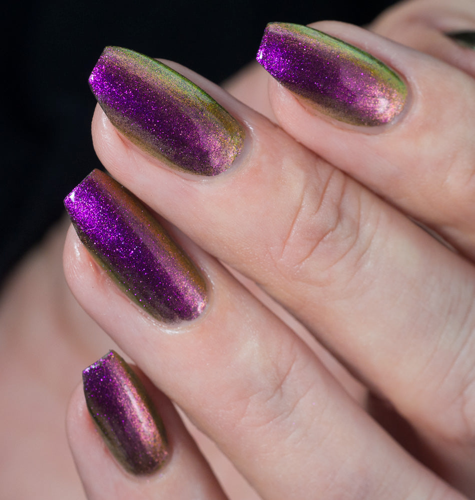 Hit the Bottle- Shadeshifters- Away with the Pixies