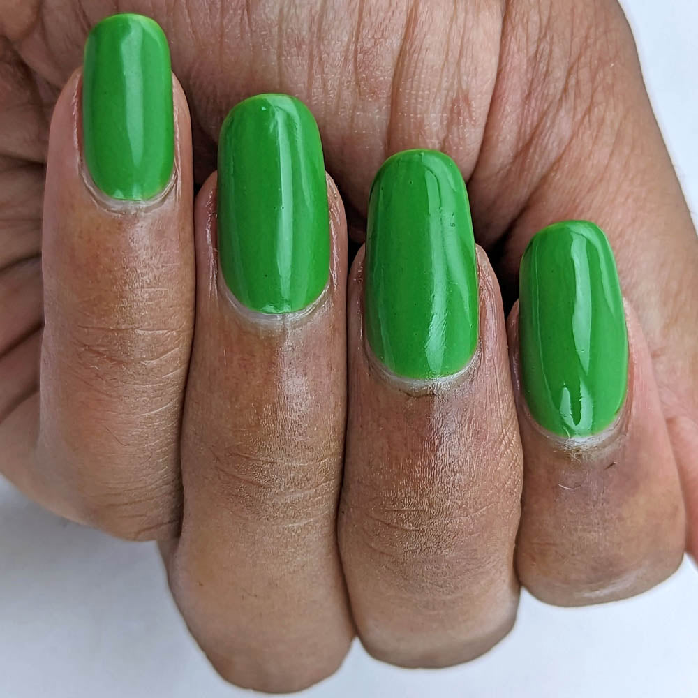 Hit the Bottle- Roads less Travelled- Paronella Park