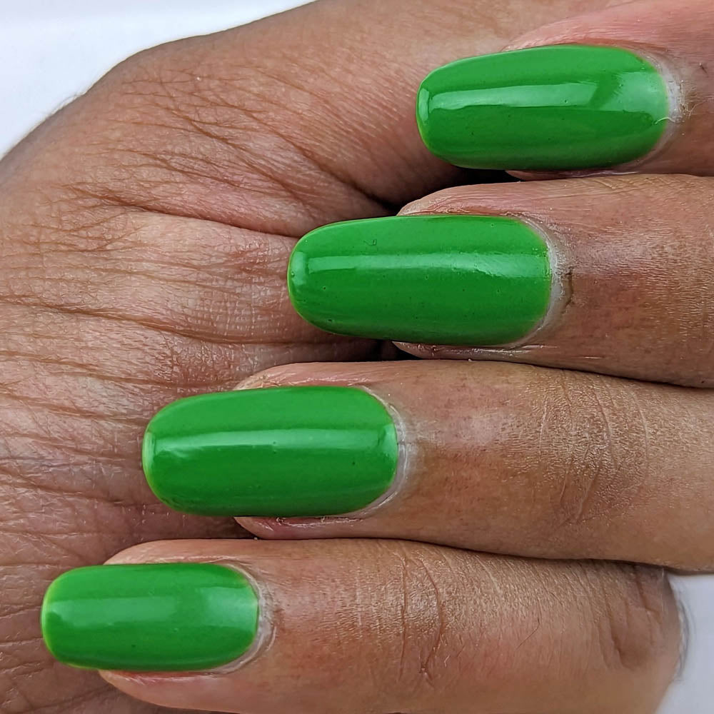 Hit the Bottle- Roads less Travelled- Paronella Park