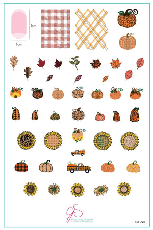 Clear Jelly Stamper- CjS-220- Pattern Pumpkins