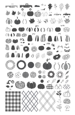 Clear Jelly Stamper- CjS-220- Pattern Pumpkins