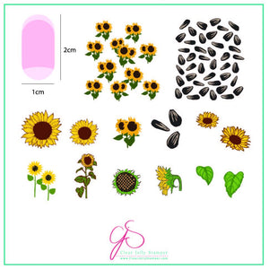 Clear Jelly Stamper- CjS-163- Sunflowers