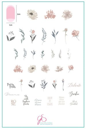 Clear Jelly Stamper- CjS-081- Watercolour Garden