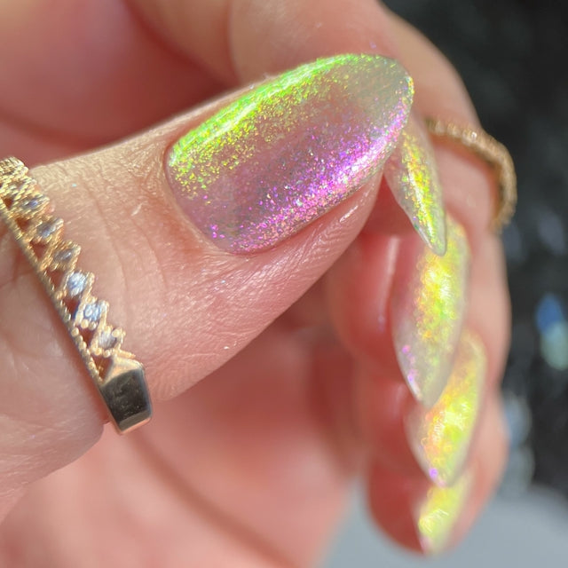 Phoenix- Unicorns- Dreamer