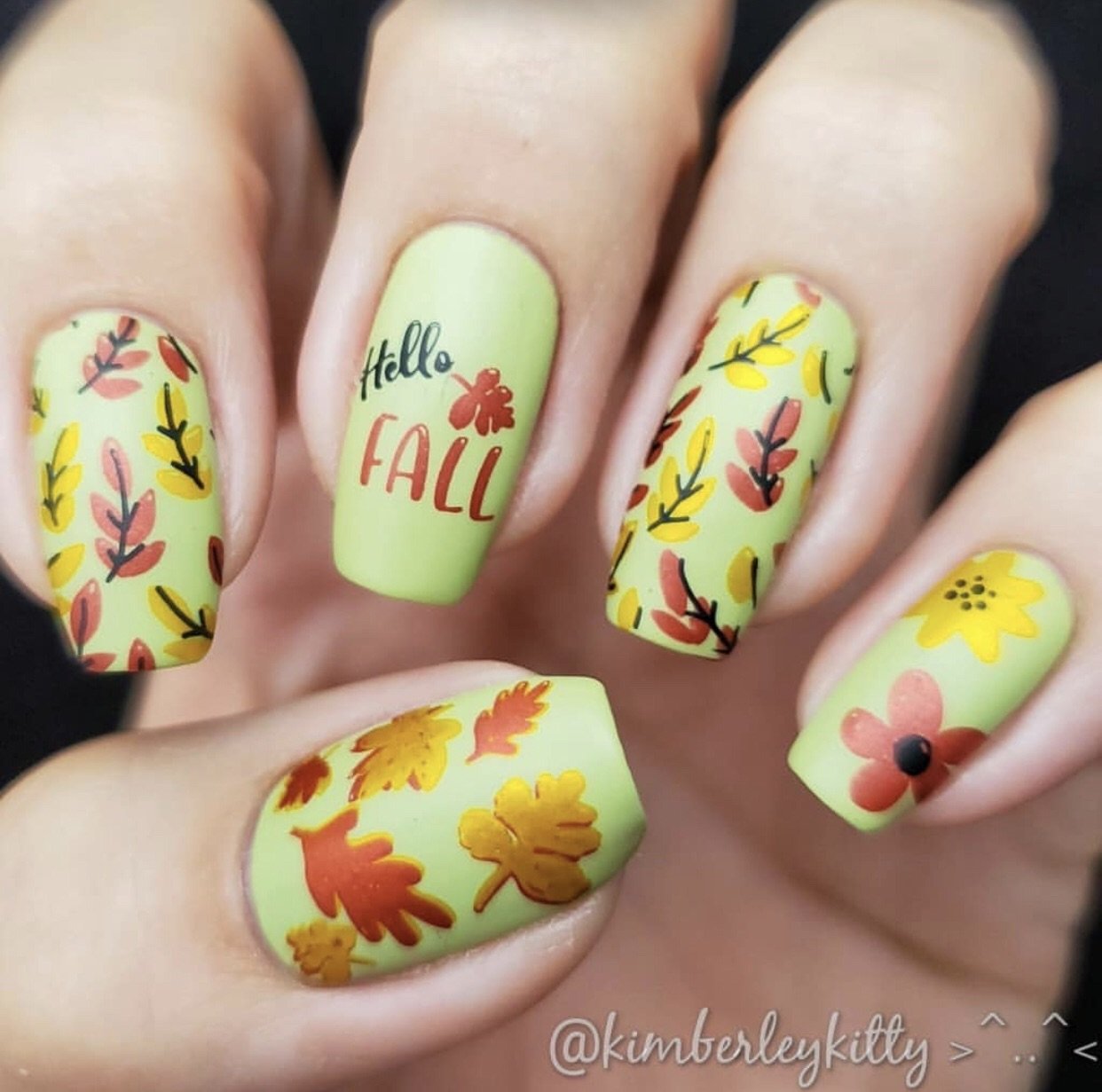 Clear Jelly Stamper- LC-57- Talia's Pumpkin Patch