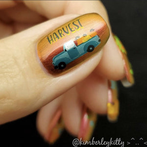 Clear Jelly Stamper- LC-57- Talia's Pumpkin Patch