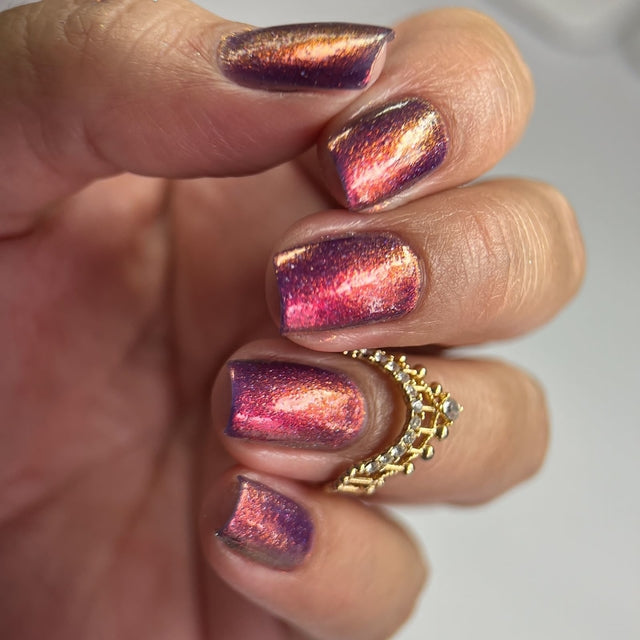 Phoenix- Slice of Life- Never Kill an Innocent