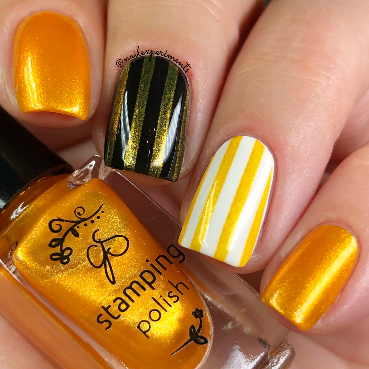Clear Jelly Stamper- Stamping Polish- The Candy Shop Kit (7 colors)