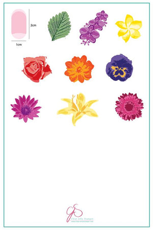 Clear Jelly Stamper- LC-16- Full On Floral