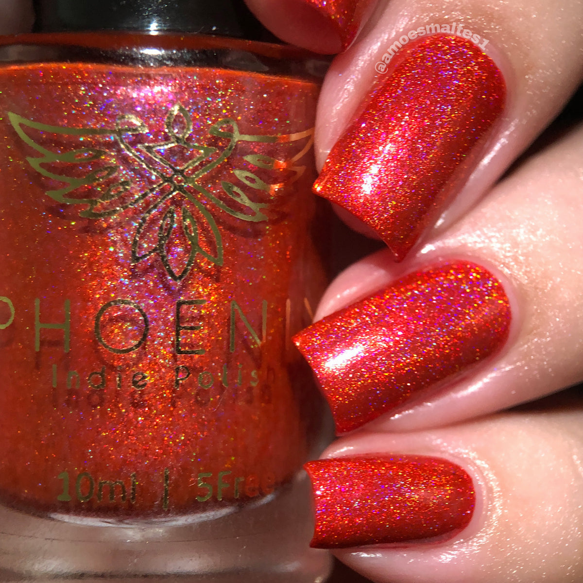 Phoenix- Blood and Fire- Meleys