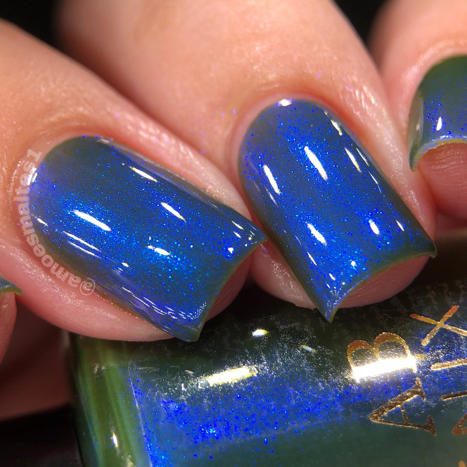 Phoenix- Paint the Town Red- Lestat