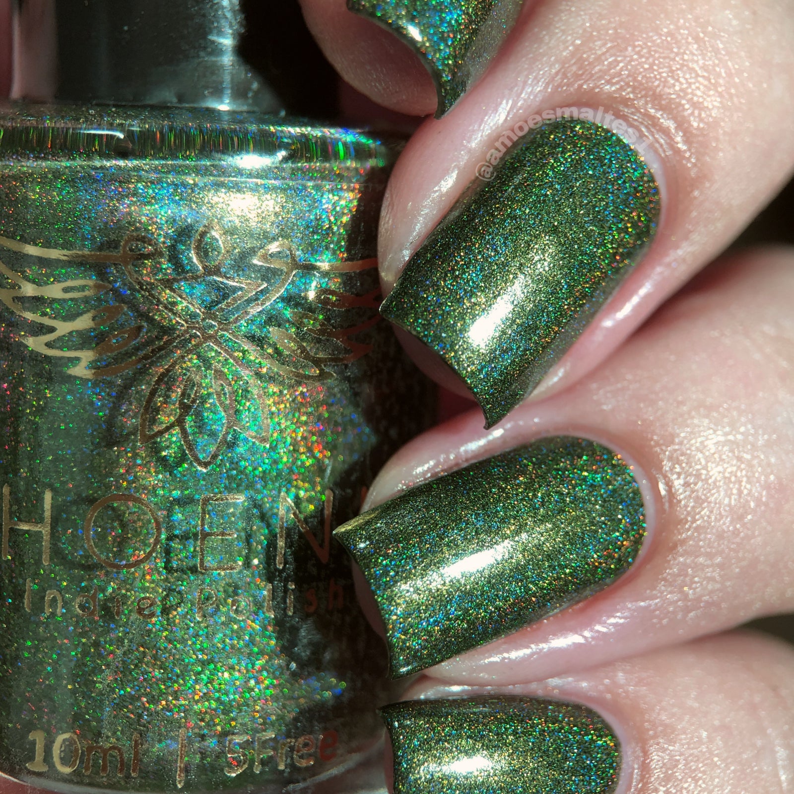 Phoenix- Blood and Fire- Vhagar