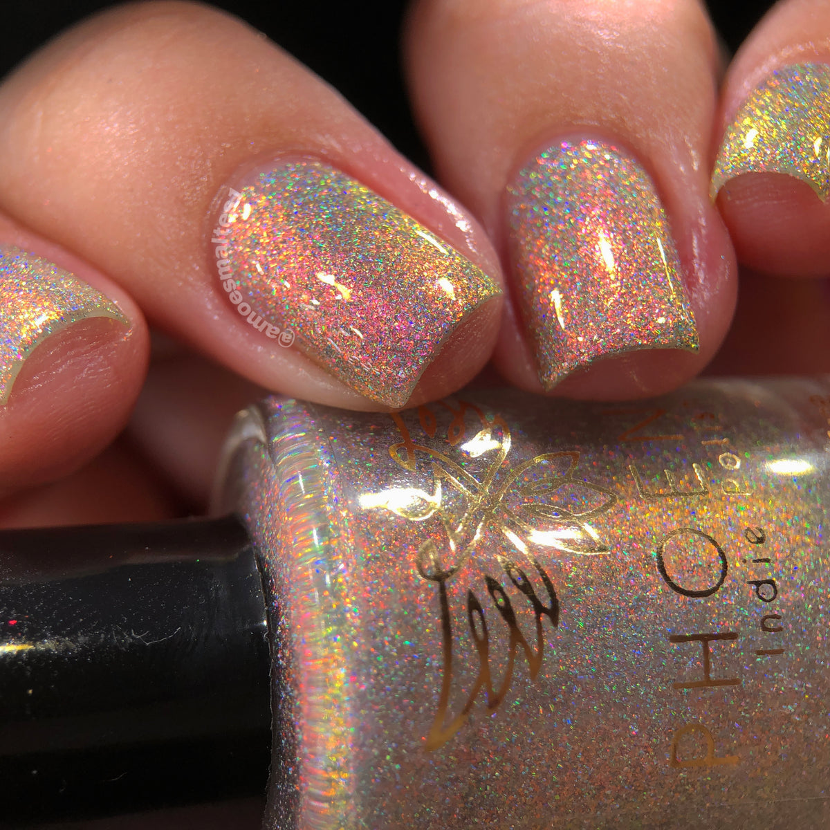 Phoenix- A Special Christmas- We Love You Kevin Bacon