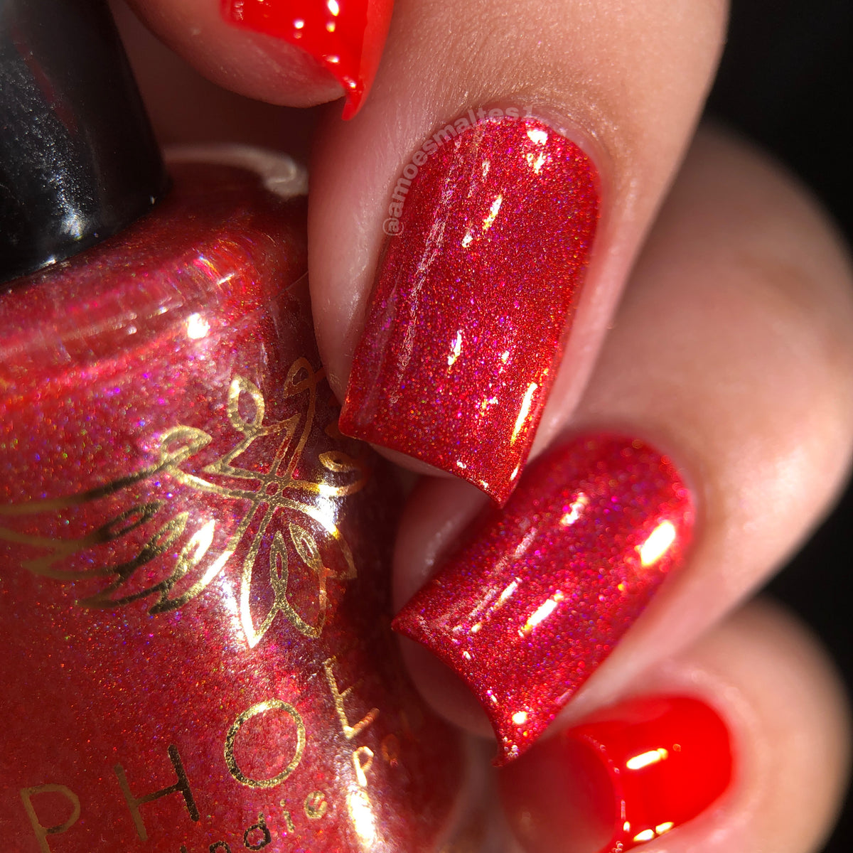 Phoenix- Blood and Fire- Meleys