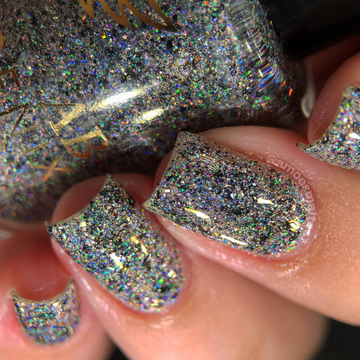 Phoenix- Paint the Town Red- Nosferatu