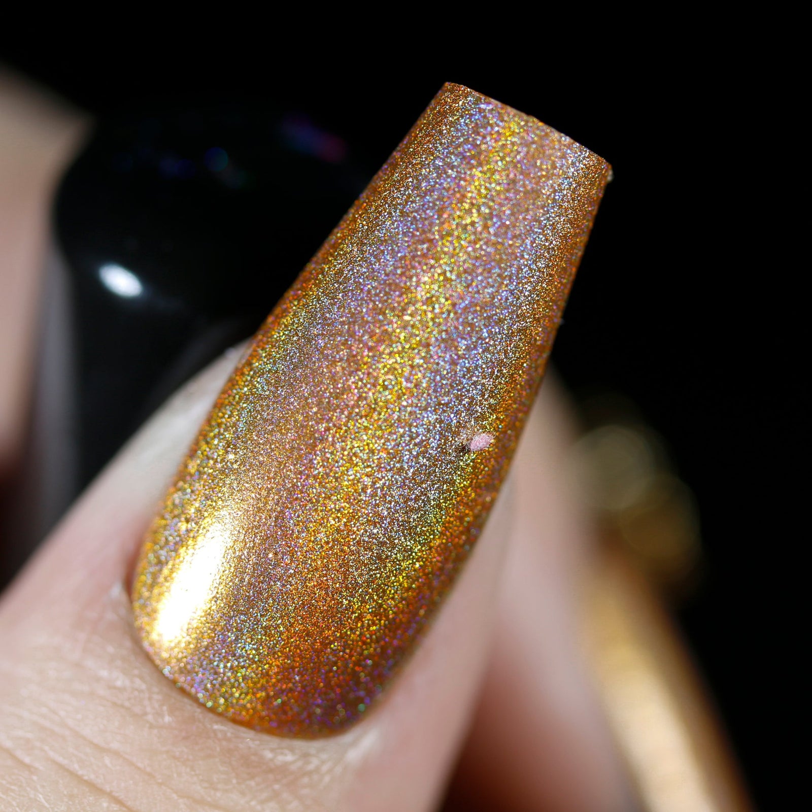 Phoenix- Holos- Mon Petit