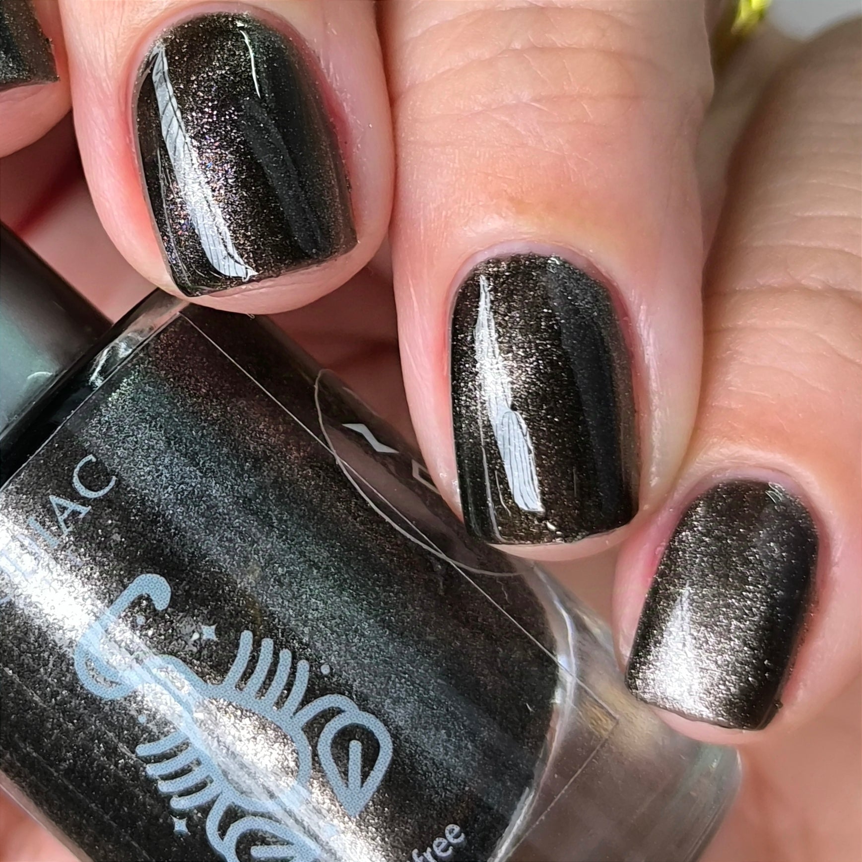 Zodiac Collab- Scorpio- Hematite