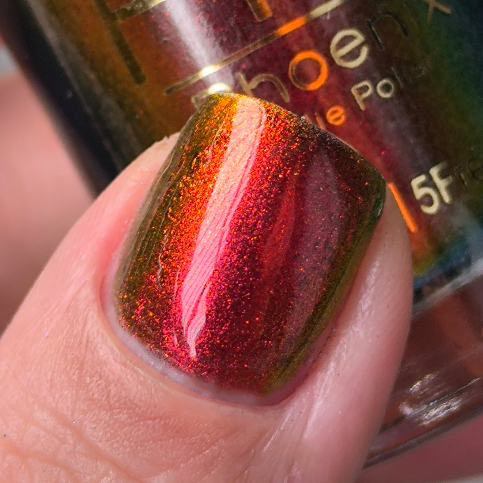 Phoenix- Hummingbirds- Stripe Tailed Hummingbird