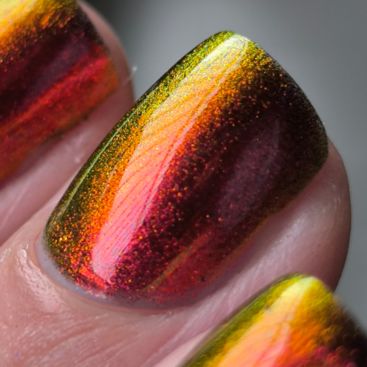 Phoenix- Hummingbirds- Stripe Tailed Hummingbird