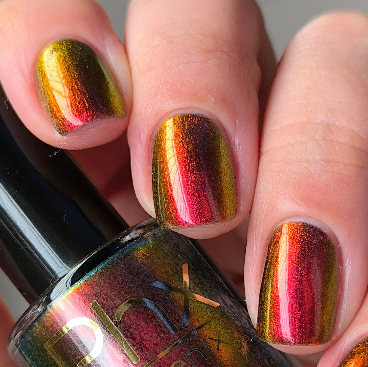 Phoenix- Hummingbirds- Stripe Tailed Hummingbird