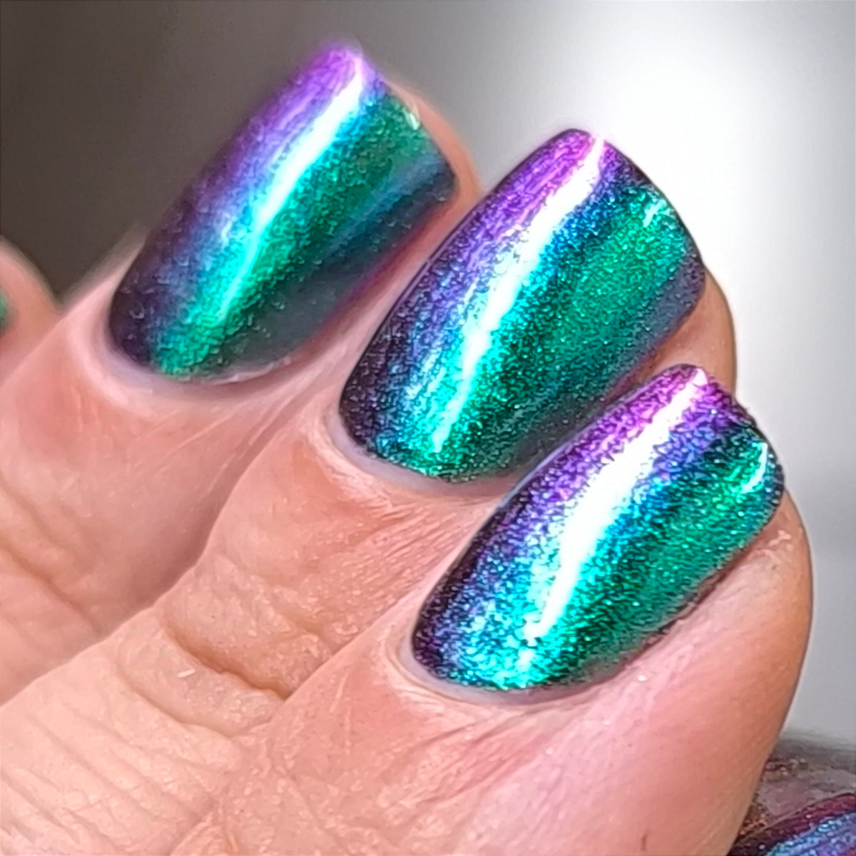 Phoenix- Hummingbirds- Violet Sabrewing Hummingbird