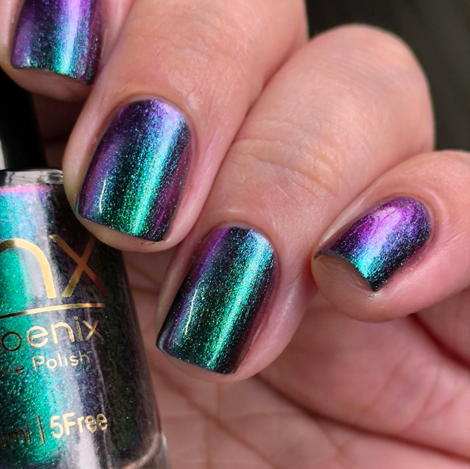 Phoenix- Hummingbirds- Violet Sabrewing Hummingbird